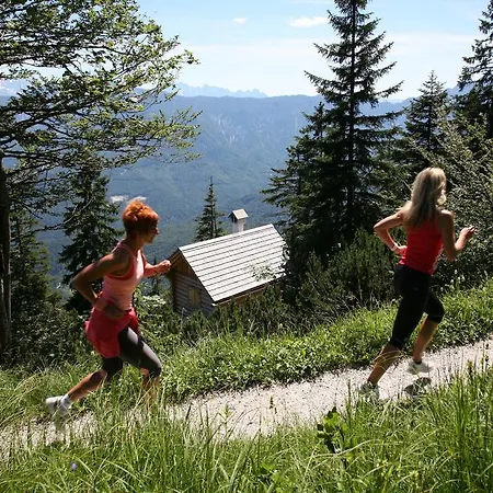 Garni Haus Sonnleitn - Adults Only Hotel