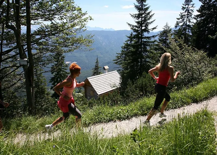 Garni Haus Sonnleitn - Adults Only Hotell